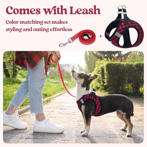 Dog Harness Small Sized and Leash Set (Red Check / S (chest: 15.1 - 16.5"))