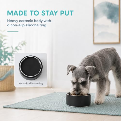 Ceramic Dog Bowls (Matte Black)