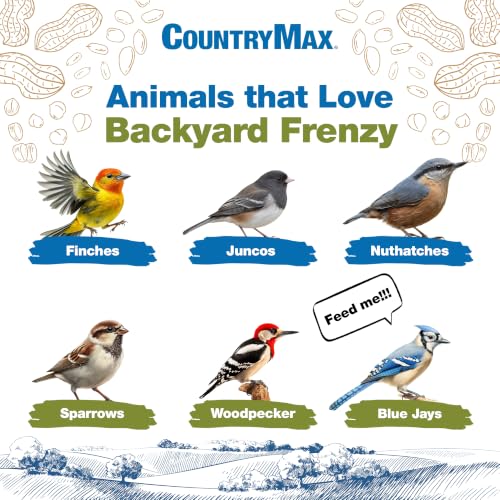 Backyard Seeds 20LB Backyard Frenzy Wild Bird Seed Blend (Backyard Frenzy / 20 Pound (Pack of 1))