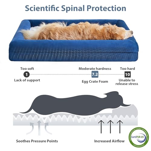 Giant Dog Bed Orthopedic for Senior Dog Bed Comfy Sleeping (Blue / XXXX-L (61x43x7.5in))
