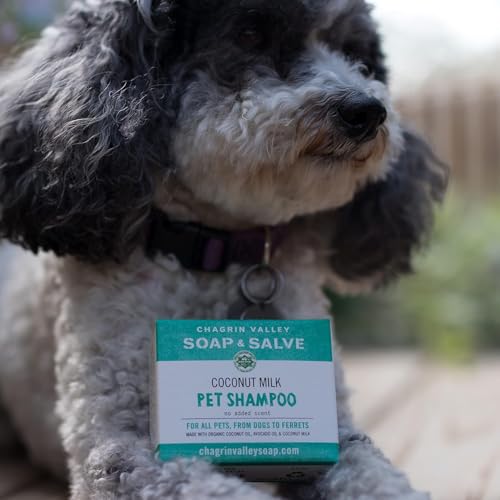 Organic Dog Shampoo and Conditioner