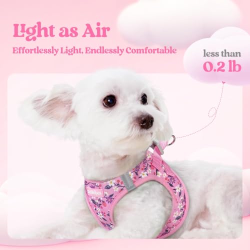 Dog Harness Small Sized and Leash Set (Pink Floral / Xs (chest: 13.3 - 15.5"))