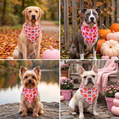 Fall Dog Bandanas Girl (X-Large / Pink Pumpkin)