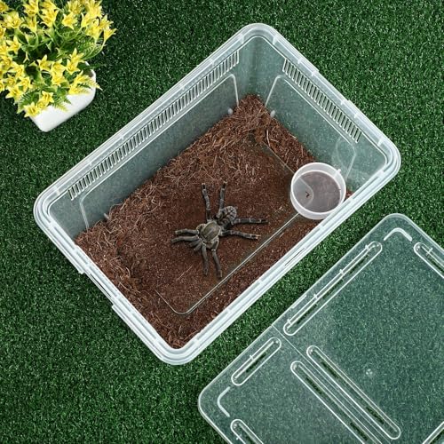 8 Pcs Reptile Breeding Box (Vent Strips / Clear / 10.6 x 7.4 x 4.7 Inch)