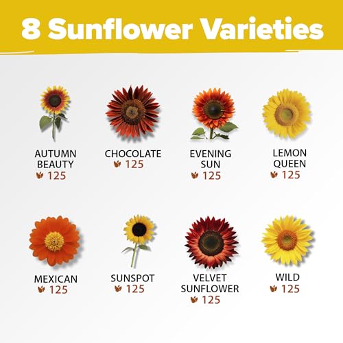 Sunflower Mix Seeds