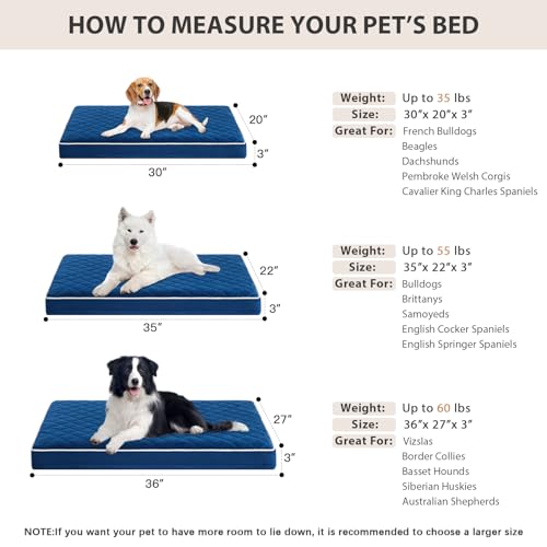 Orthopedic Waterproof Dog Bed Medium for Comfy Sleeping (Blue / 30"L x 20"W x 3"Th)