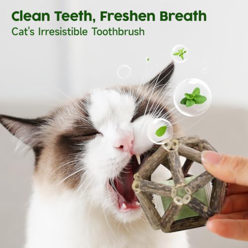 Catnip Toys 3Pcs Cat Toys Natural Silvervine Stick Cage Balls & Bell Ball for Indoor Cats