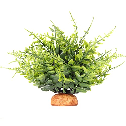 Green Boston Fern Reptile Plants (I-fake Green Boston Fern)