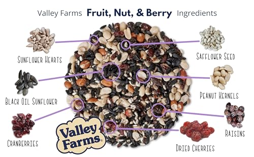 Fruit Nut & Berry Wild Bird Food for Outside Feeders (15 Pound (Pack of 1))