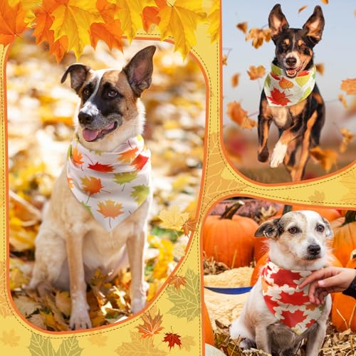 100 Pieces Thanksgiving Dog Bandanas Bulk Fall Autumn Pet Bandanas for Small Large Dogs with Maple Leaves Patterns Triangle Scarf Bib Kerchief Set Costume Accessories (Maple / 31.5 x 21.7 x 21.7")
