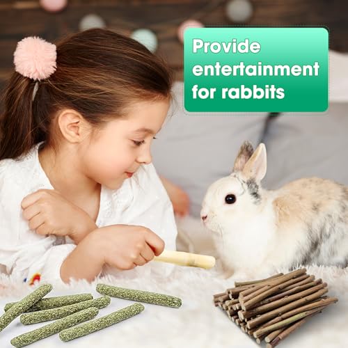 Natural Pet Chew Toys Set