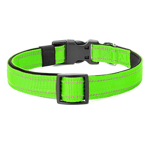 Reflective Dog Collar (Green / L:width 1"neck 17.5-27")