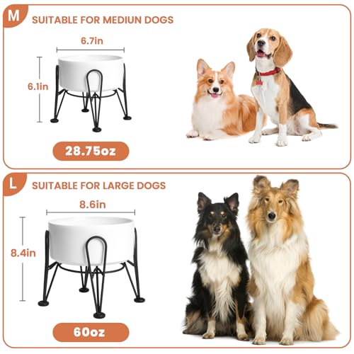 Elevated Dog Bowls (White / 7.6 Cups | 2 Pack | For Large Dogs)