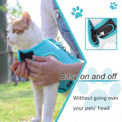 Cat Harness and Leash Set for Walking Escape Proof (Turquoise / M 5.5-9 lbs)