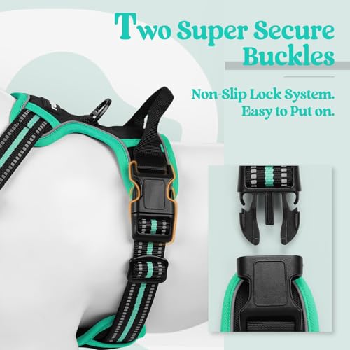 Dog Harness No Pull for Large Dogs with 2 Leash Clips (Large / Black & Turquoise)