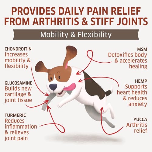 Hemp Hip and Joint Supplement for Dogs
