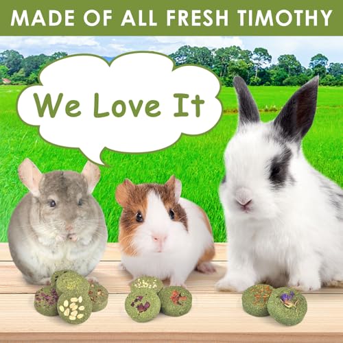 Treats Rabbit Toys (10 Count (Pack of 1))