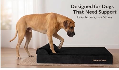 The Dog’s Bed Orthopedic Memory Foam Dog Bed with Headrest XL (Black Plush / XL (46"L x 28"W x 6"Th))