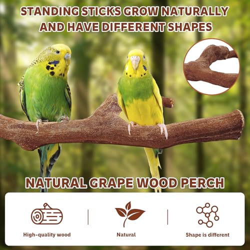 4PCS Bird Perch Natural Wooden Parrot Stand