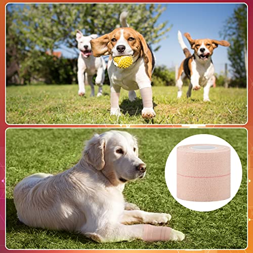 16 Rolls Self Adhesive Elastic Sports Bandage Tape (2 Inch x 5 Yard)