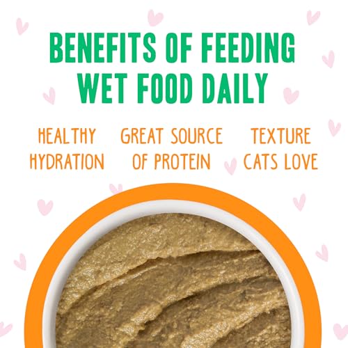 B.F.F. Play Best Feline Friend Paté Lovers (2.8 Ounce (Pack of 12))
