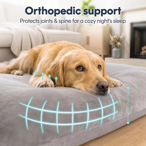 Super Soft Medium Dog Bed (32.0"L x 24.0"W x 3.0"Th / Grey)