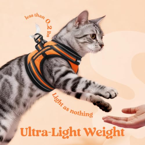 Cat Harness and Leash Set (S / Orange)