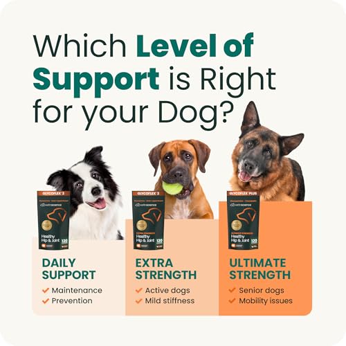 Ultimate Strength Healthy Hip & Joint for Dogs (120 Chews)