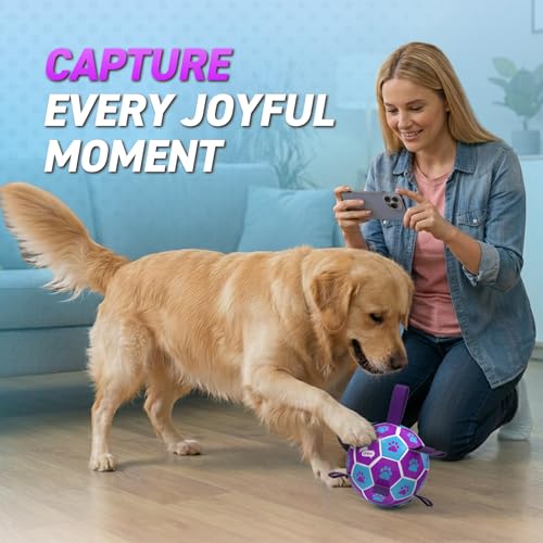 Dog Ropes Toys (Purple-Blue / Medium Size 2 (6 Inch))