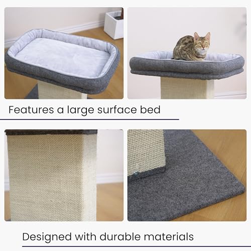 Cat Perch with Washable Replaceable Bed & Wide Sisal Scratching Post