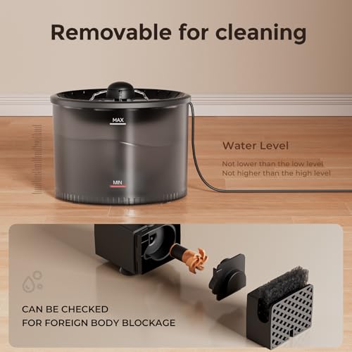 Automatic Cat Feeder and Water Fountain