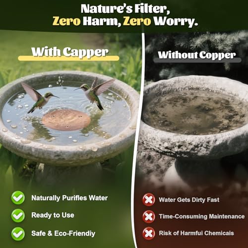 2 Pack Bird Bath Copper Disk (Copper/2PCS)