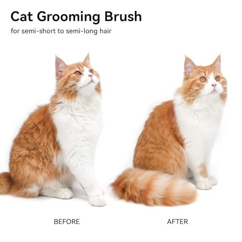 Cat Brush for Shedding (White)