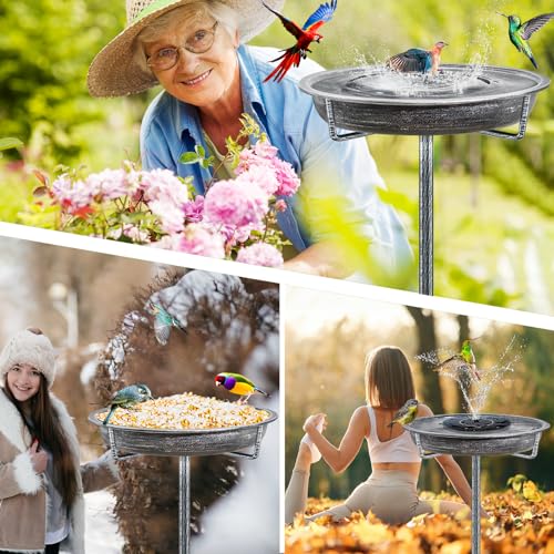 Bird Bath for Outside (Retro Silver)