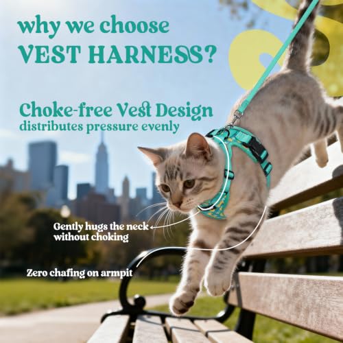Cat Harness and Leash Set (Xs / Lemon Grove)