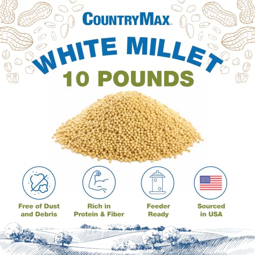 10LB White Proso Millet Bird Seed for Wild Birds & Finches (White Millet / 10 Pound (Pack of 1))