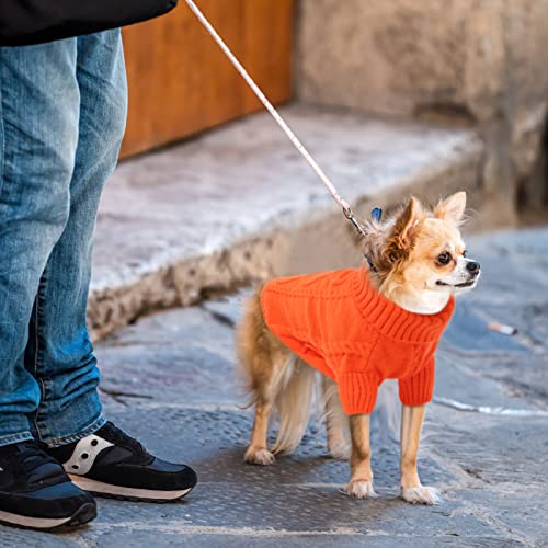 XXL Dog Sweater (XX-Large / Orange)