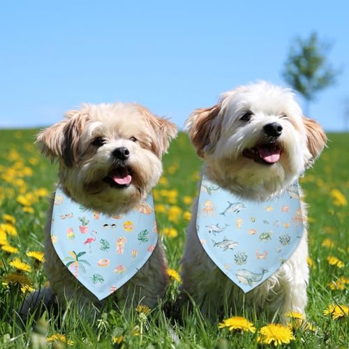 Summer Dog Bandana 2 Pack (H)