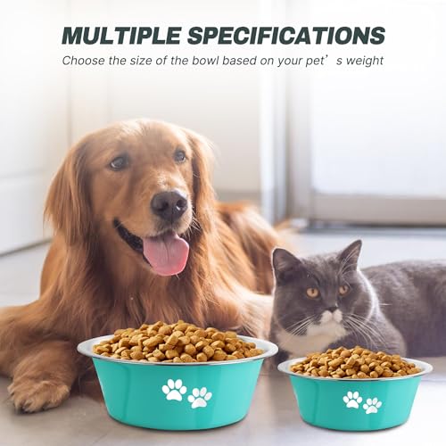 Stainless Steel Dog Bowls (Green / 8.5 Cups/71 OZ)