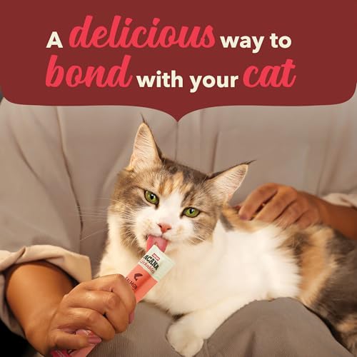 Lickables Cat Treats Salmon Recipe .5oz Tubes (0.5 Ounce (Pack of 5))
