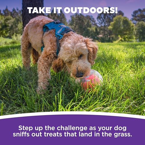 by Nina Ottosson Topsy Treat Ball Dog Puzzle (One Size)
