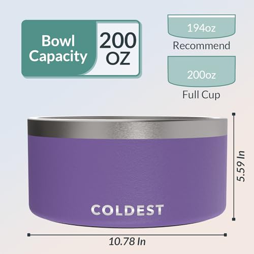 Coldest Dog Bowl (200 oz / Galaxy Purple)