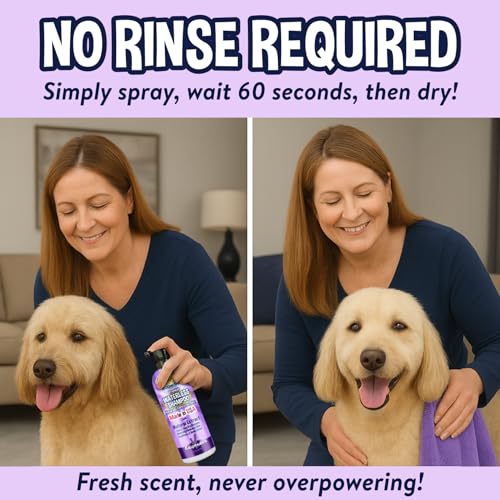 Waterless Shampoo