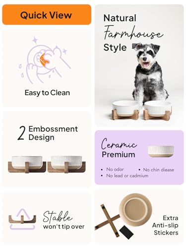 Ceramic Dog Bowls for Medium Small Dogs (M-4 Cups / Lines+Dot)