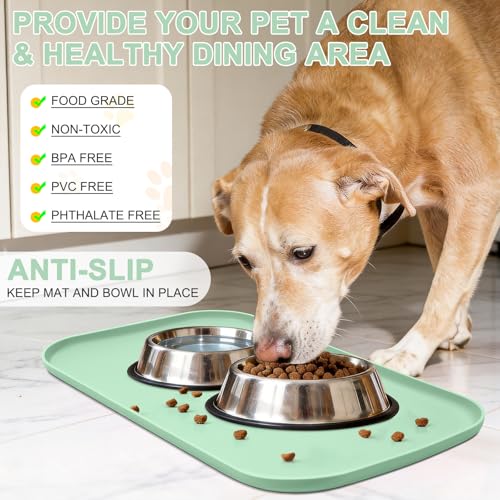 Waterproof Silicone Pet Food Mat with Raised Edge for Dog & Cat (Mint Green / 22"L x 14"W)