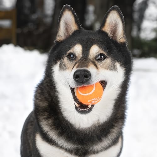 Interactive Squeaky Dog Chew Toy (Tennis (Assorted Color) / Large (Pack of 2))