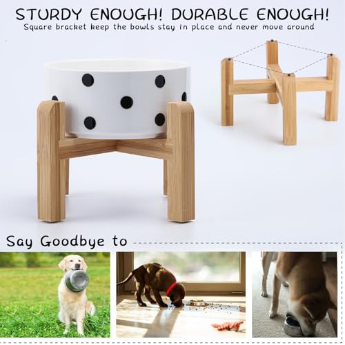 Elevated Raised Ceramic Dog Bowl for Small Breeds (Black Dot / 1.7 Cups - Small)