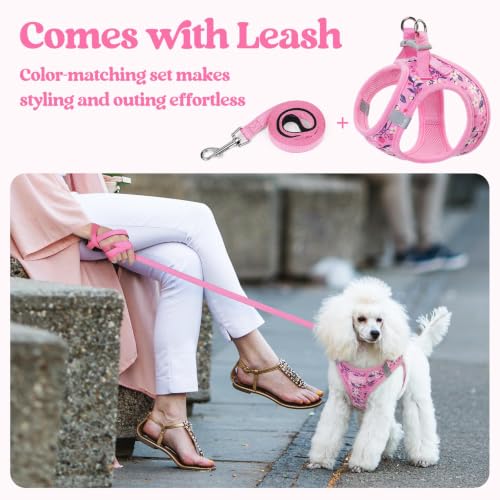 Dog Harness Small Sized and Leash Set (Pink Floral / S (chest: 15.1 - 16.5"))