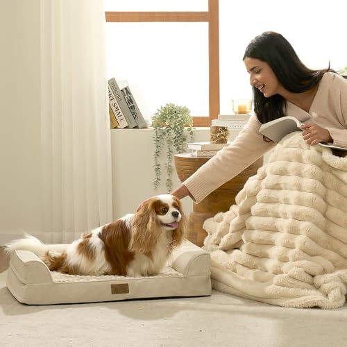Orthopedic Dog Bed for Medium Small Size Dogs (Beige / M:30x20x6.5 inch)