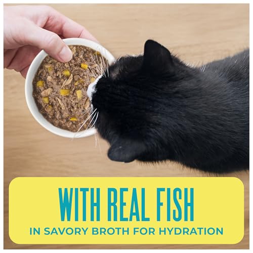 Tiki Cat Wet Cat Food Mega Pack (4.2 Pound (Pack of 1))